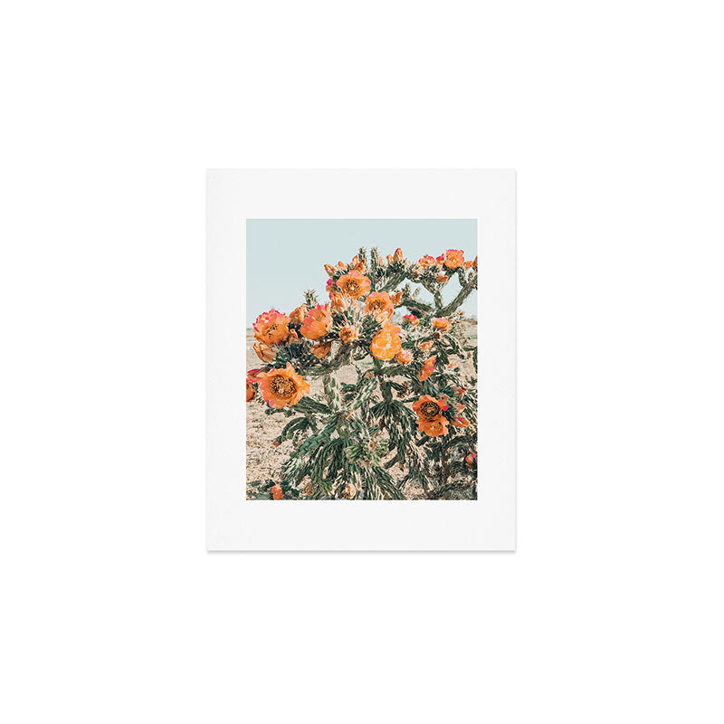 Cholla, Orange Flowering Cactus Art Print Gallery Image 1