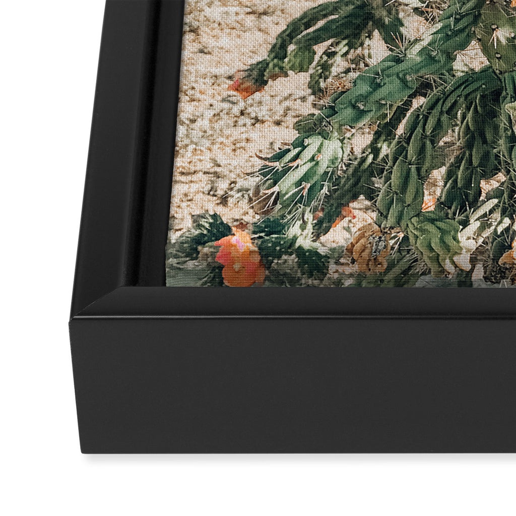 Cholla, Orange Flowering Cactus Framed Canvas Print Gallery Image 3