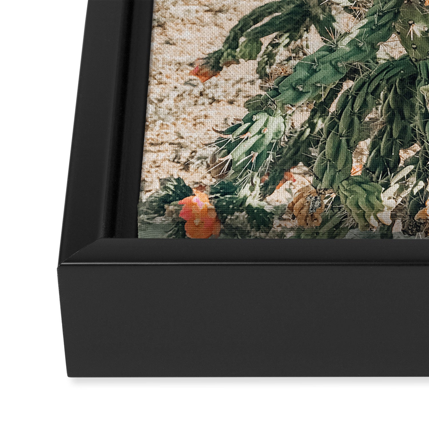 Cholla, Orange Flowering Cactus Framed Canvas Print Gallery Image 3