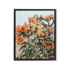 Cholla, Orange Flowering Cactus Framed Canvas Print Gallery Image 6