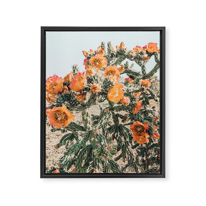 Cholla, Orange Flowering Cactus Framed Canvas Print Gallery Image 1