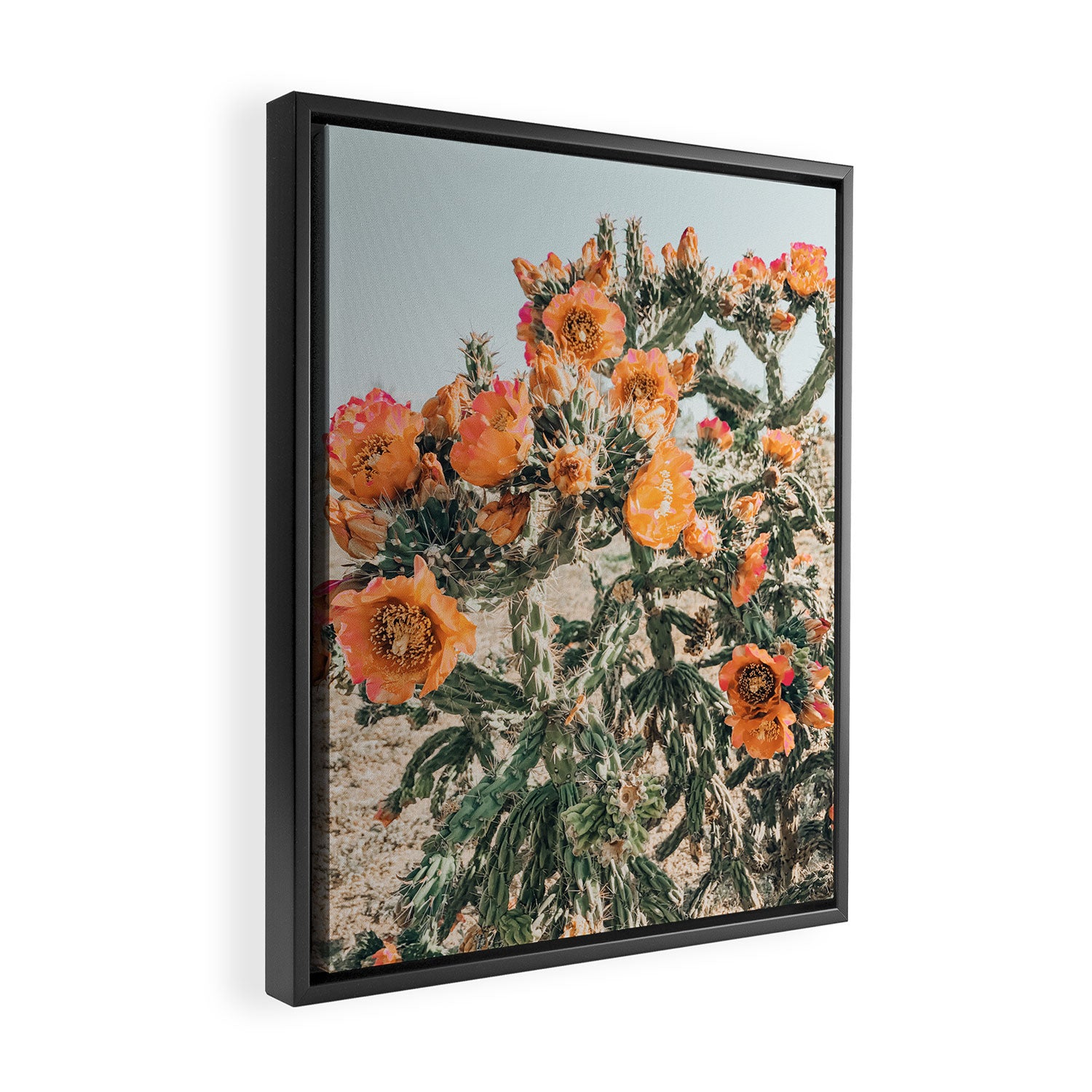 Cholla, Orange Flowering Cactus Framed Canvas Print Gallery Image 2