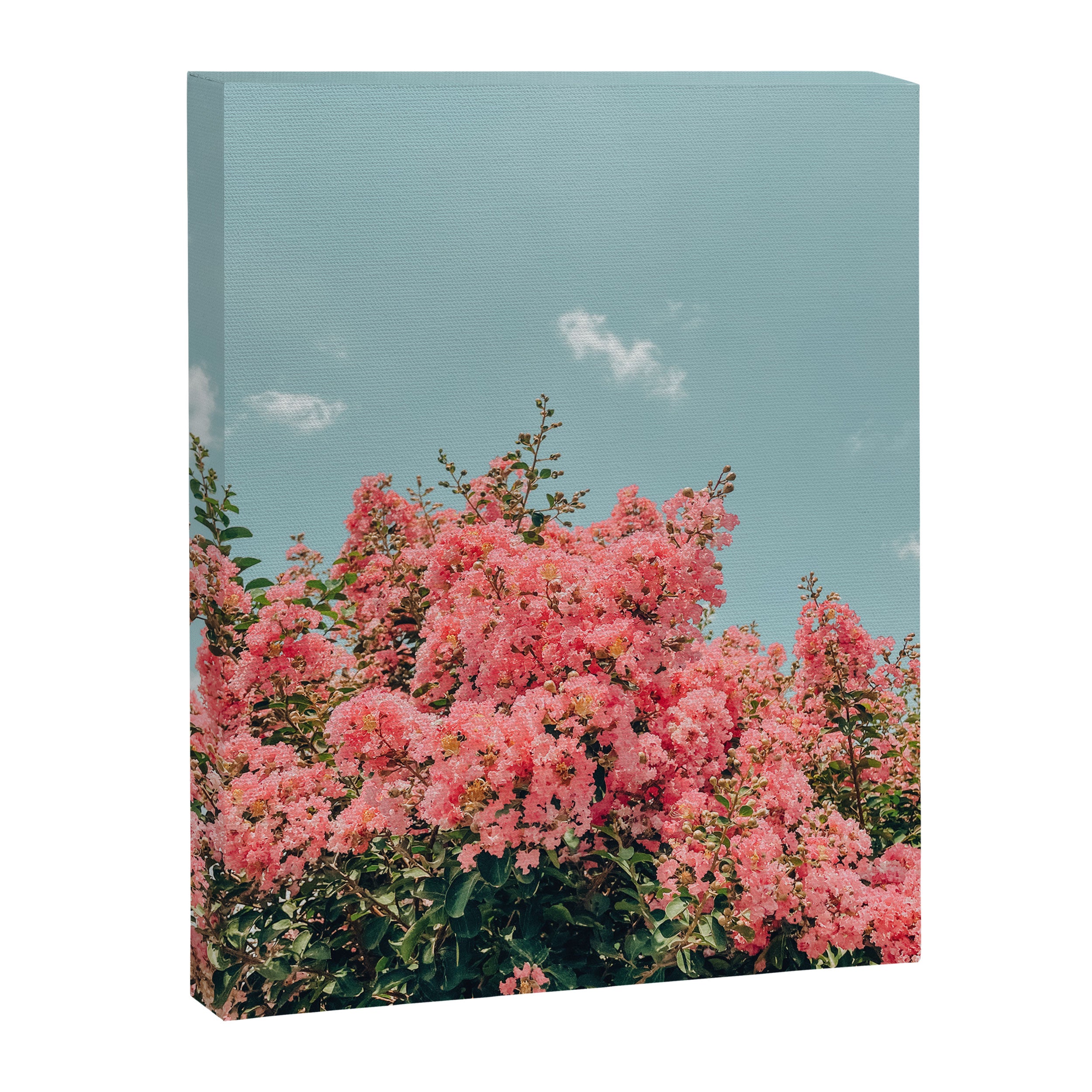 Crepe Myrtle Canvas Print Gallery Image 6