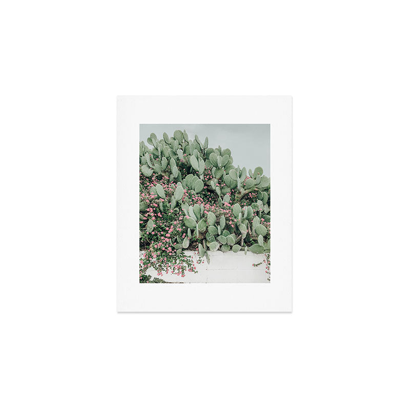 Prickly Pear Cactus and Flowers, Austin, Texas Art Print Gallery Image 1