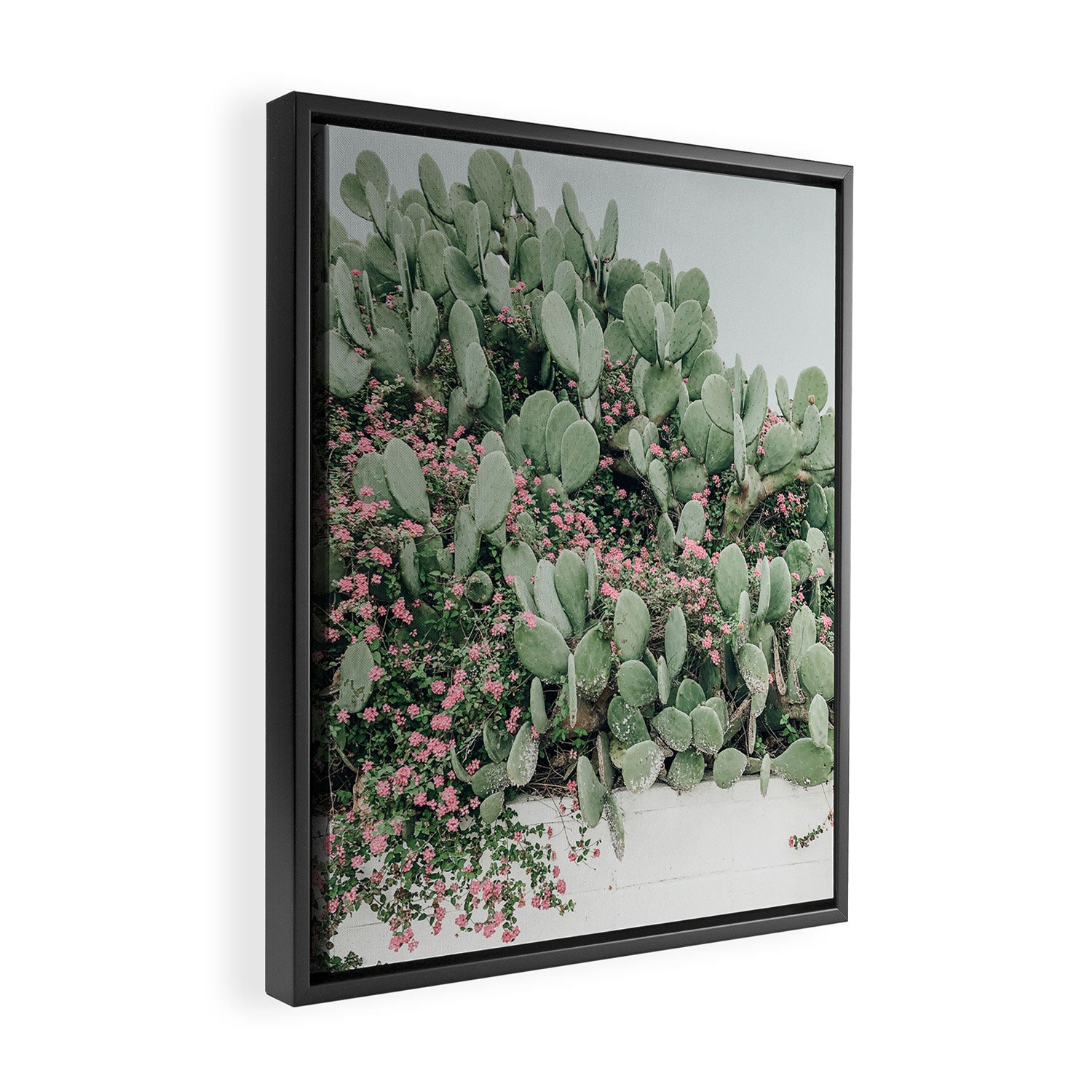 Prickly Pear Cactus and Flowers, Austin, Texas Framed Canvas Print Gallery Image 2