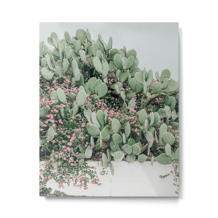 Prickly Pear Cactus and Flowers, Austin, Texas Metal Print Gallery Image 1