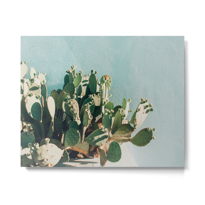 Prickly pear cactus in Marfa, West Texas Metal Print Gallery Image 1
