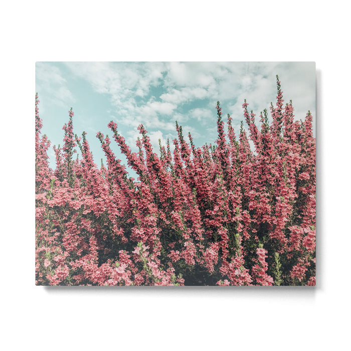 Texas Sage Bush Metal Print Gallery Image 1