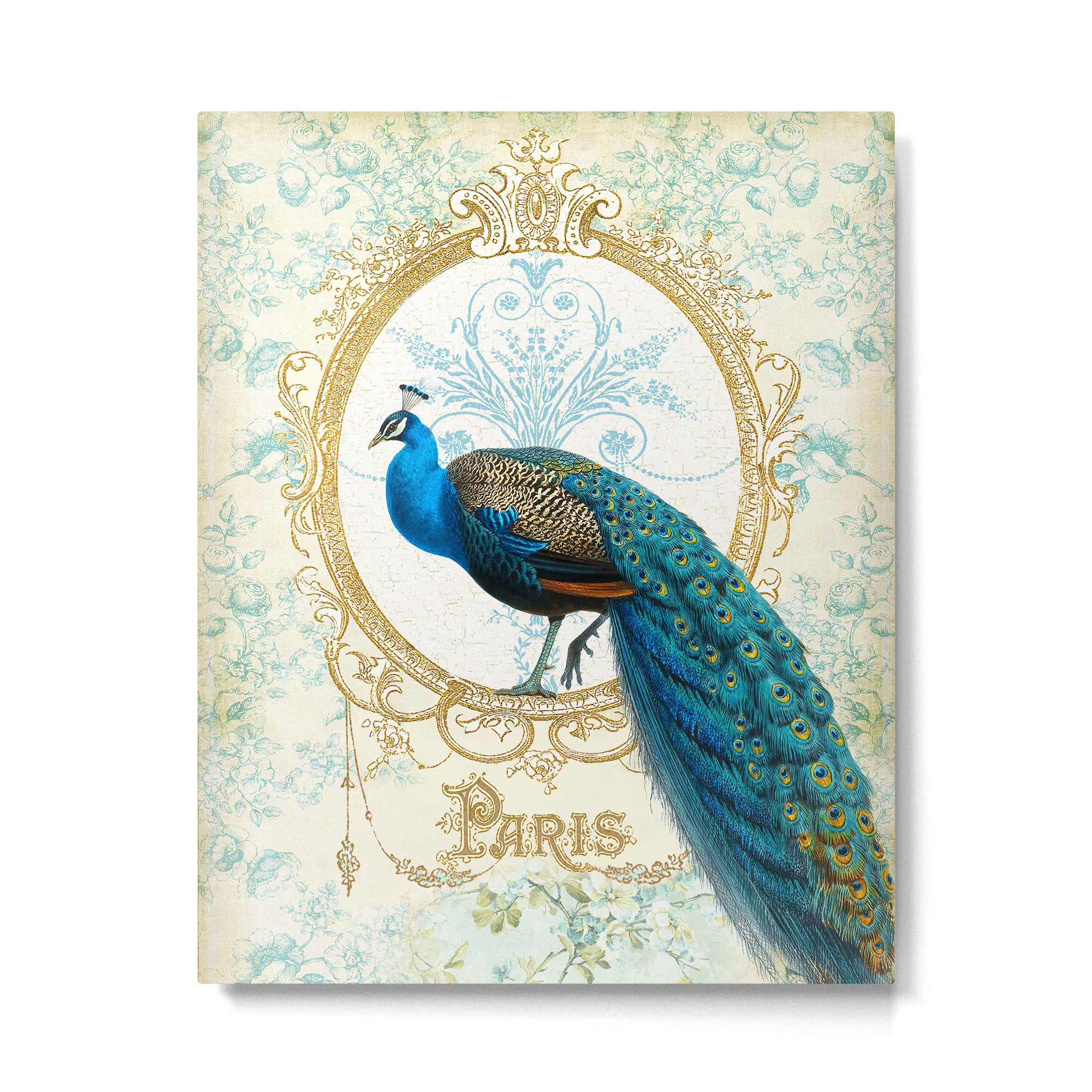 Paris Peacock Metal Print Gallery Image 4