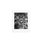 BLACK AND WHITE BUTTERFLIES | photo | sparkle and shine | wings | aesthetic | monochrome | fly  Art Print Gallery Image 1