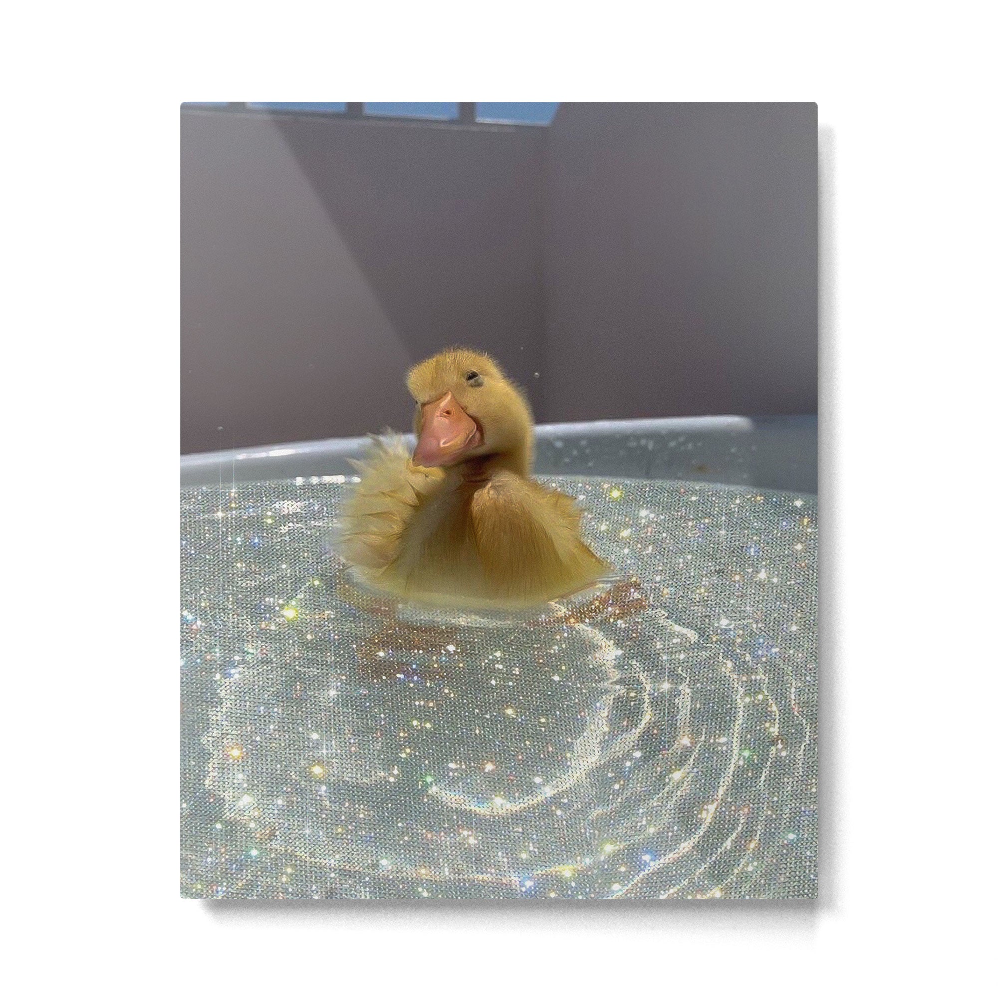 LITTLE HAPPINESS | duck | chick | collage | bath | happy | positive | cute | pet | animal | smile  Metal Print Gallery Image 4