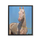 MAGIC HORSE | magical | glitter | sparkle | shiny | pet | animal | nature | blue | bling | collage  Framed Canvas Print Gallery Image 6