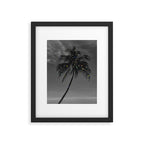 THE PALM | collage | glitter | shiny | summer | beach | black and white | diamonds | creative | hot Framed Art Print Gallery Image 5