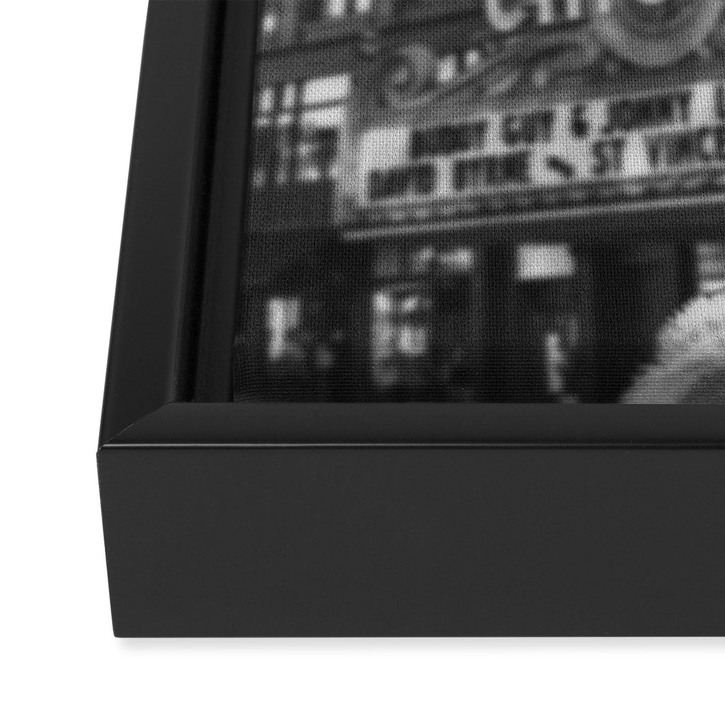 Chicago Llama Framed Canvas Print Gallery Image 3