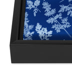 Herbal Blue Cynotype 01 Framed Canvas Print Gallery Image 3