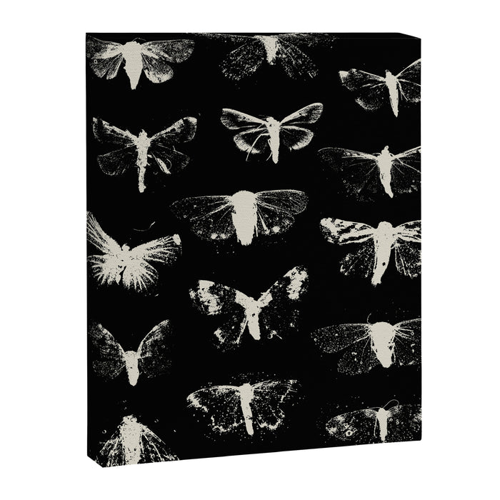 moths Canvas Print Gallery Image 1