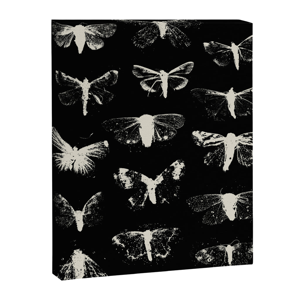 moths Canvas Print Gallery Image 8