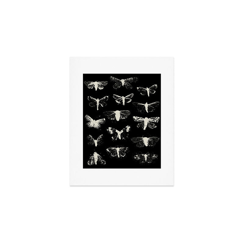 moths Art Print Gallery Image 1