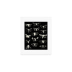 moths Art Print Gallery Image 1