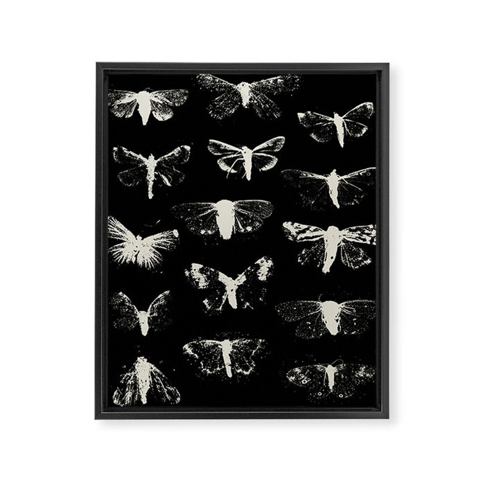 moths Framed Canvas Print Gallery Image 1