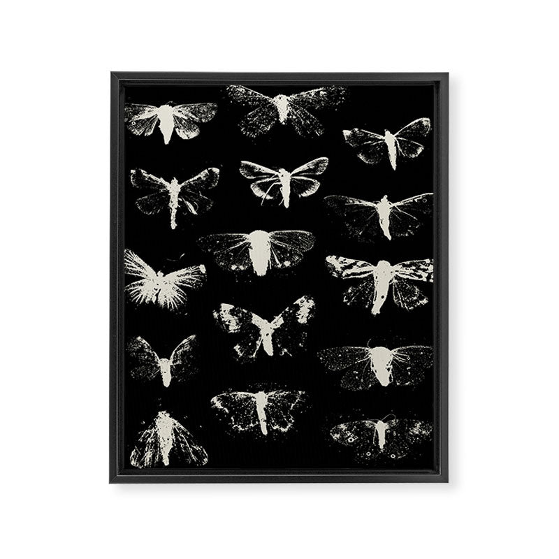 moths Framed Canvas Print Gallery Image 8