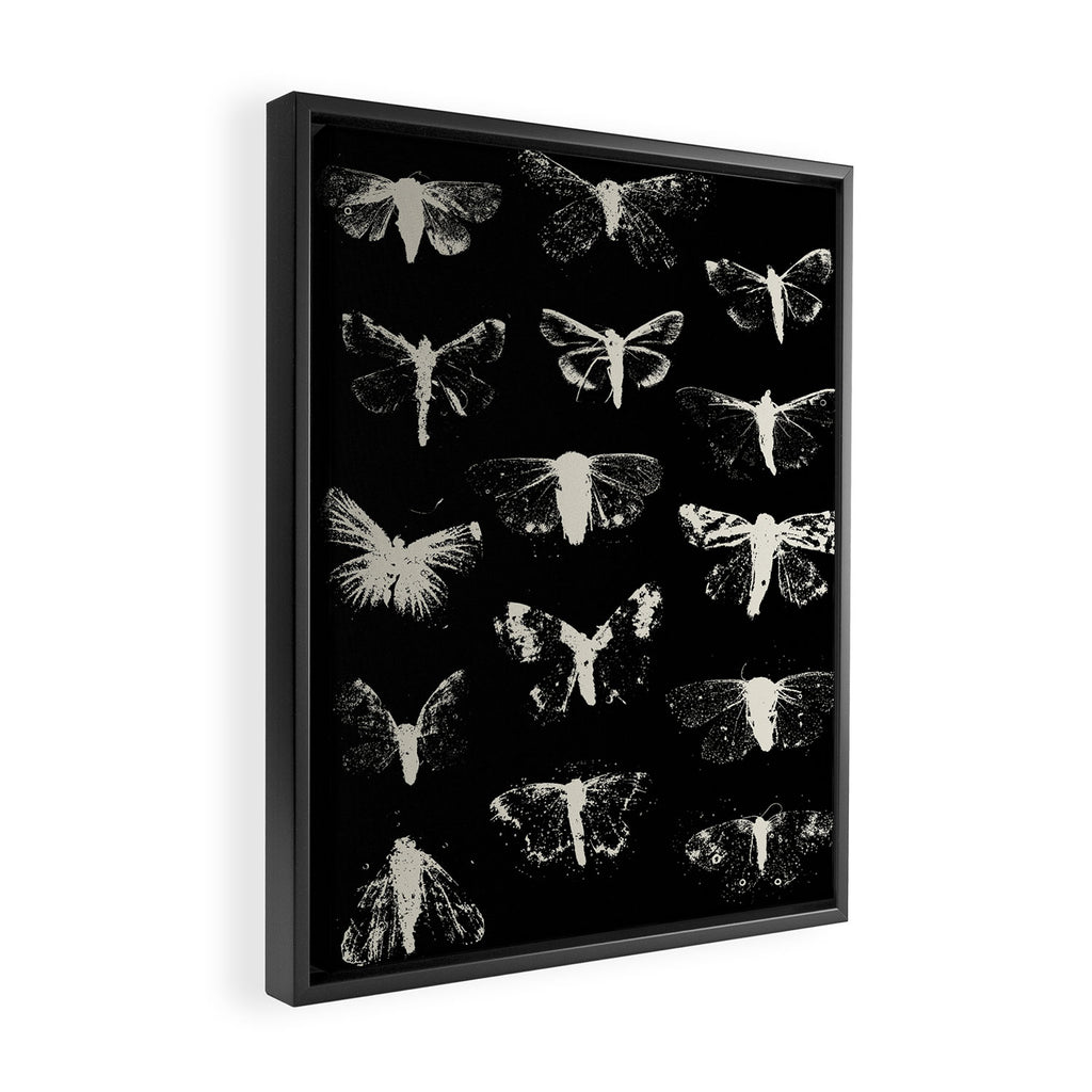 moths Framed Canvas Print Gallery Image 2