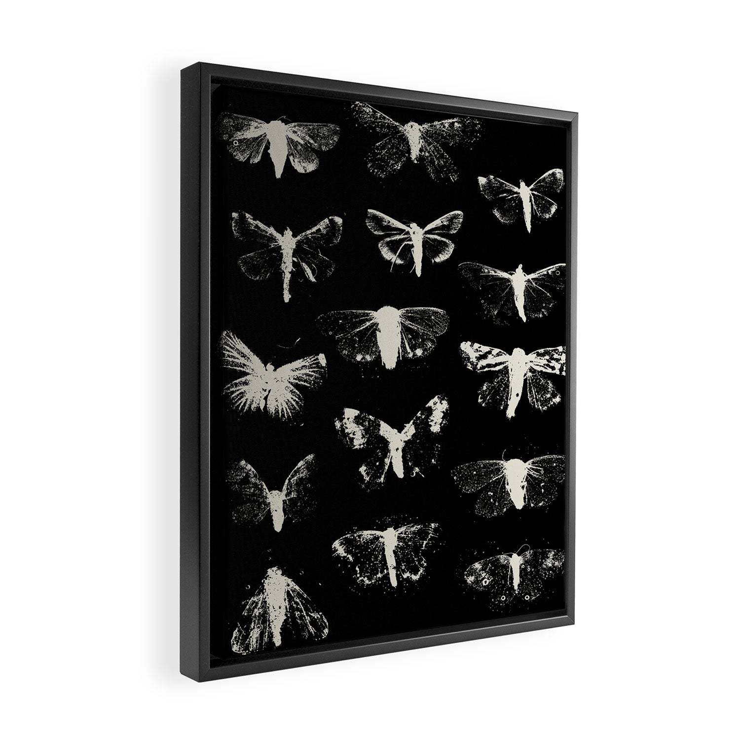 moths Framed Canvas Print Gallery Image 2