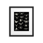 moths Framed Art Print Gallery Image 6