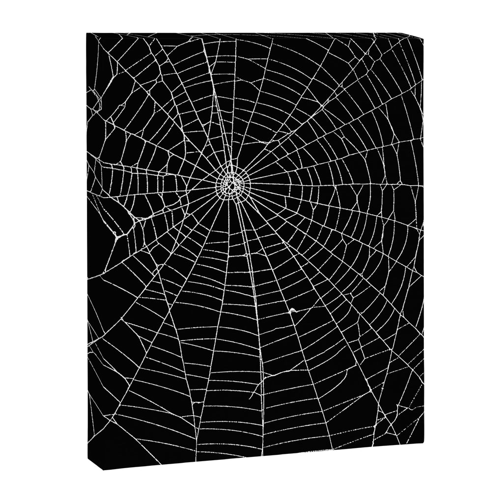 Spider Spider Web Canvas Print Gallery Image 6