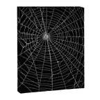 Spider Spider Web Canvas Print Gallery Image 6