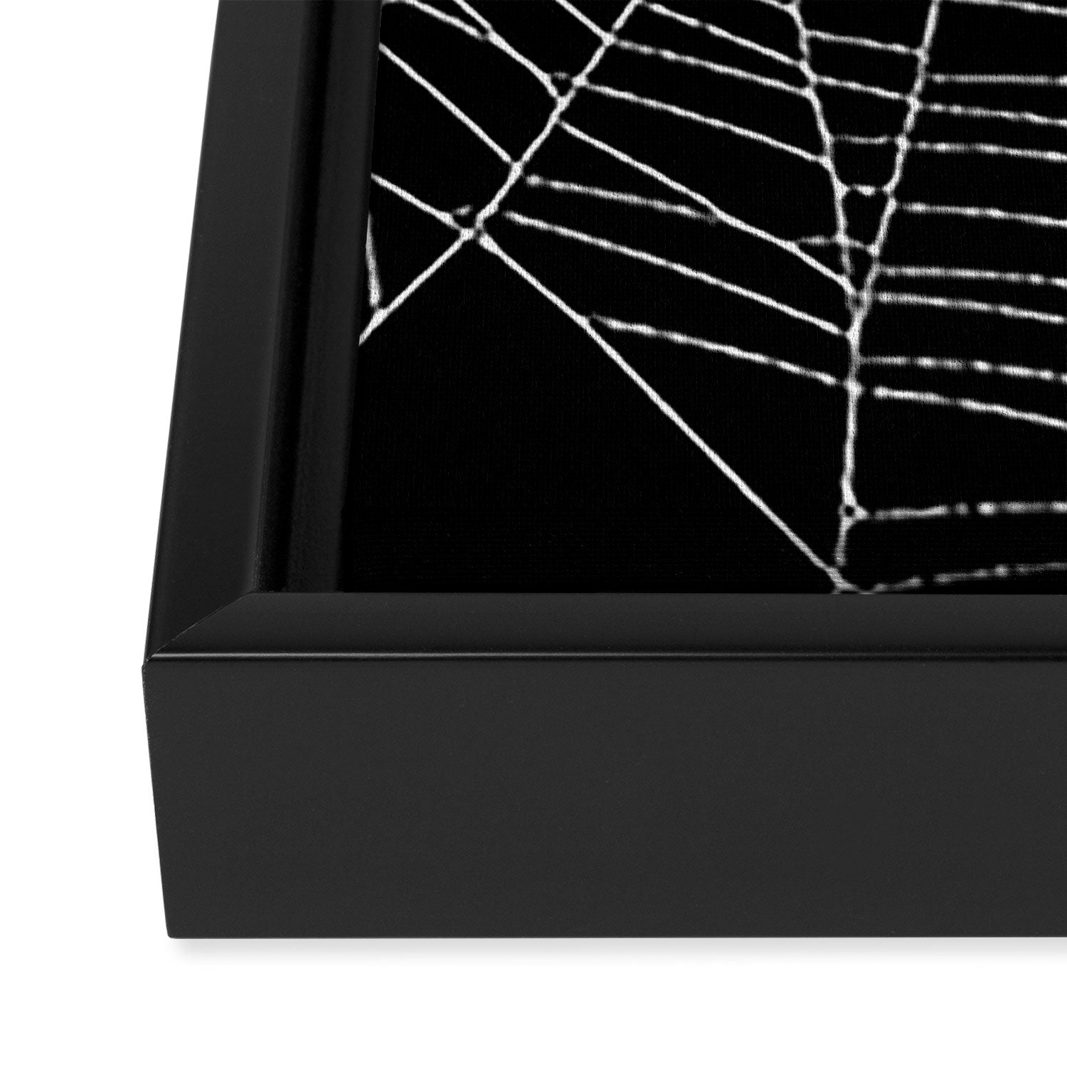 Spider Spider Web Framed Canvas Print Gallery Image 3