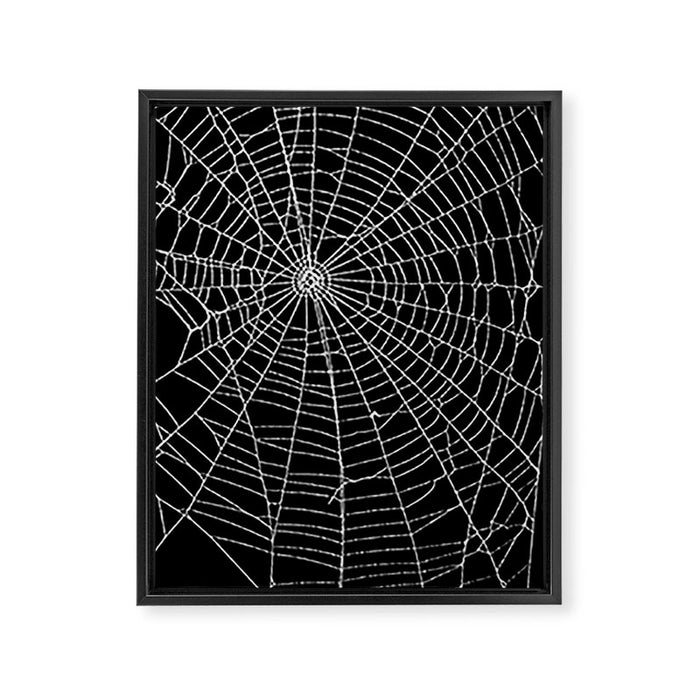 Spider Spider Web Framed Canvas Print Gallery Image 1