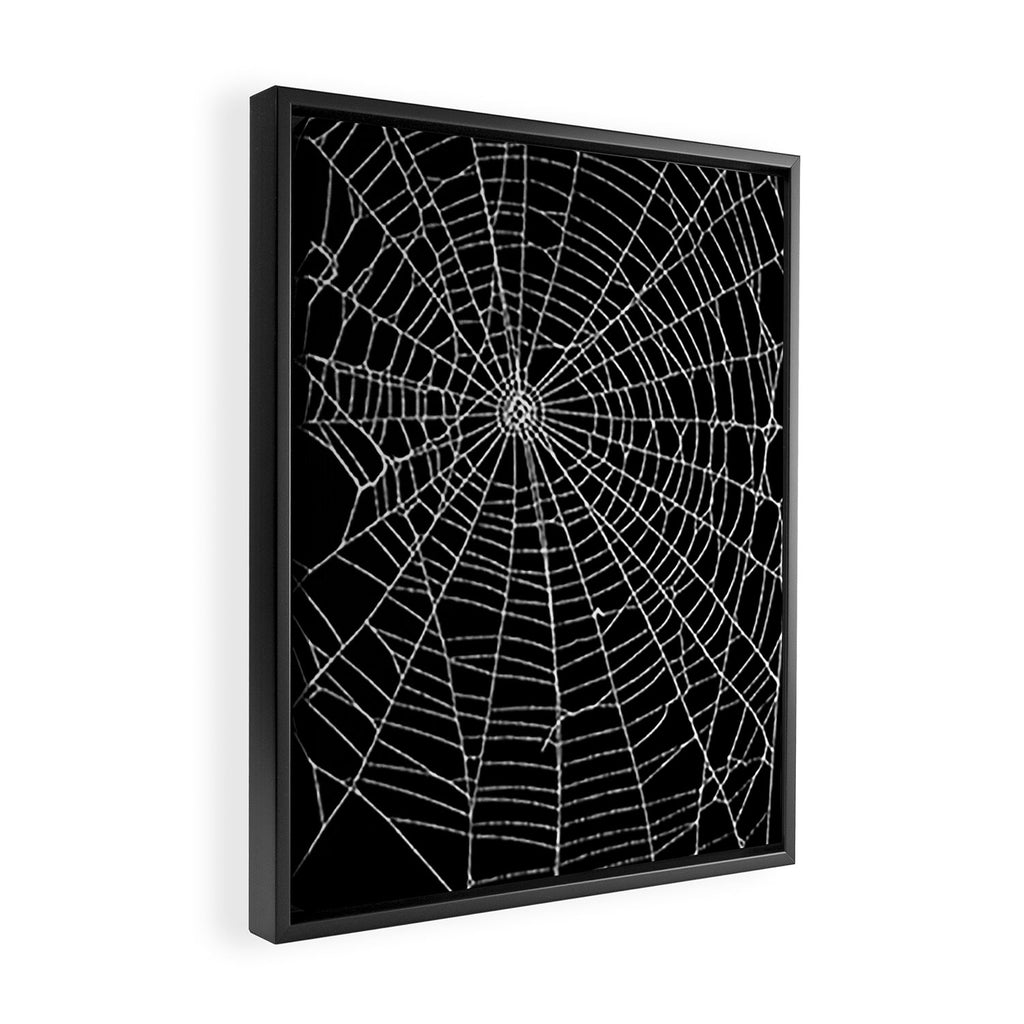 Spider Spider Web Framed Canvas Print Gallery Image 2
