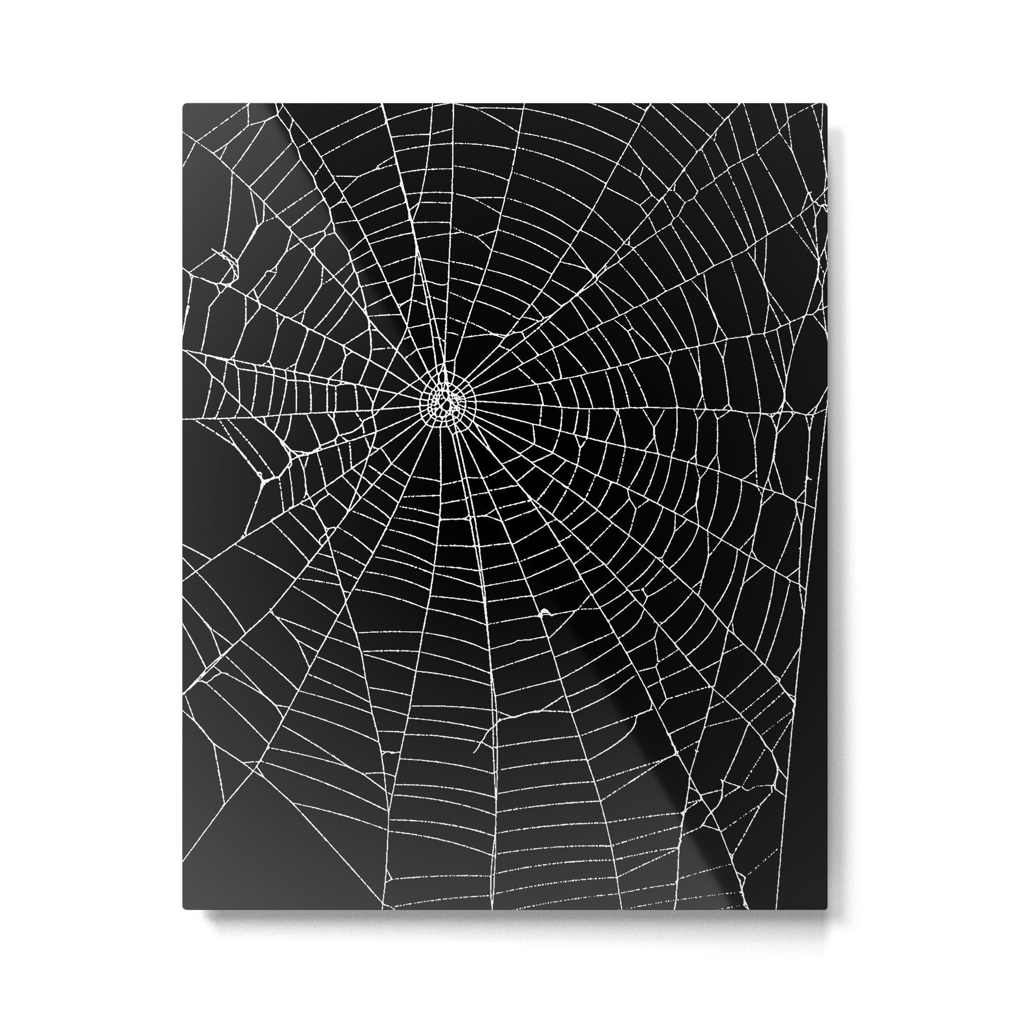 Spider Spider Web Metal Print Gallery Image 4