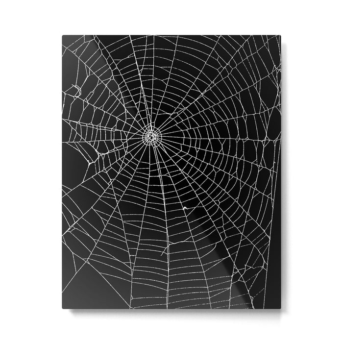Spider Spider Web Metal Print Gallery Image 1
