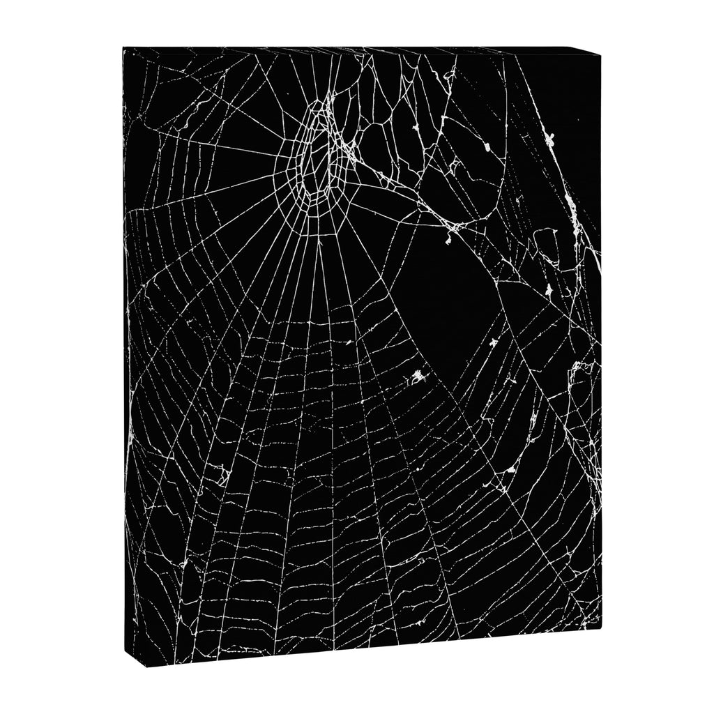 Spider Web Canvas Print Gallery Image 8