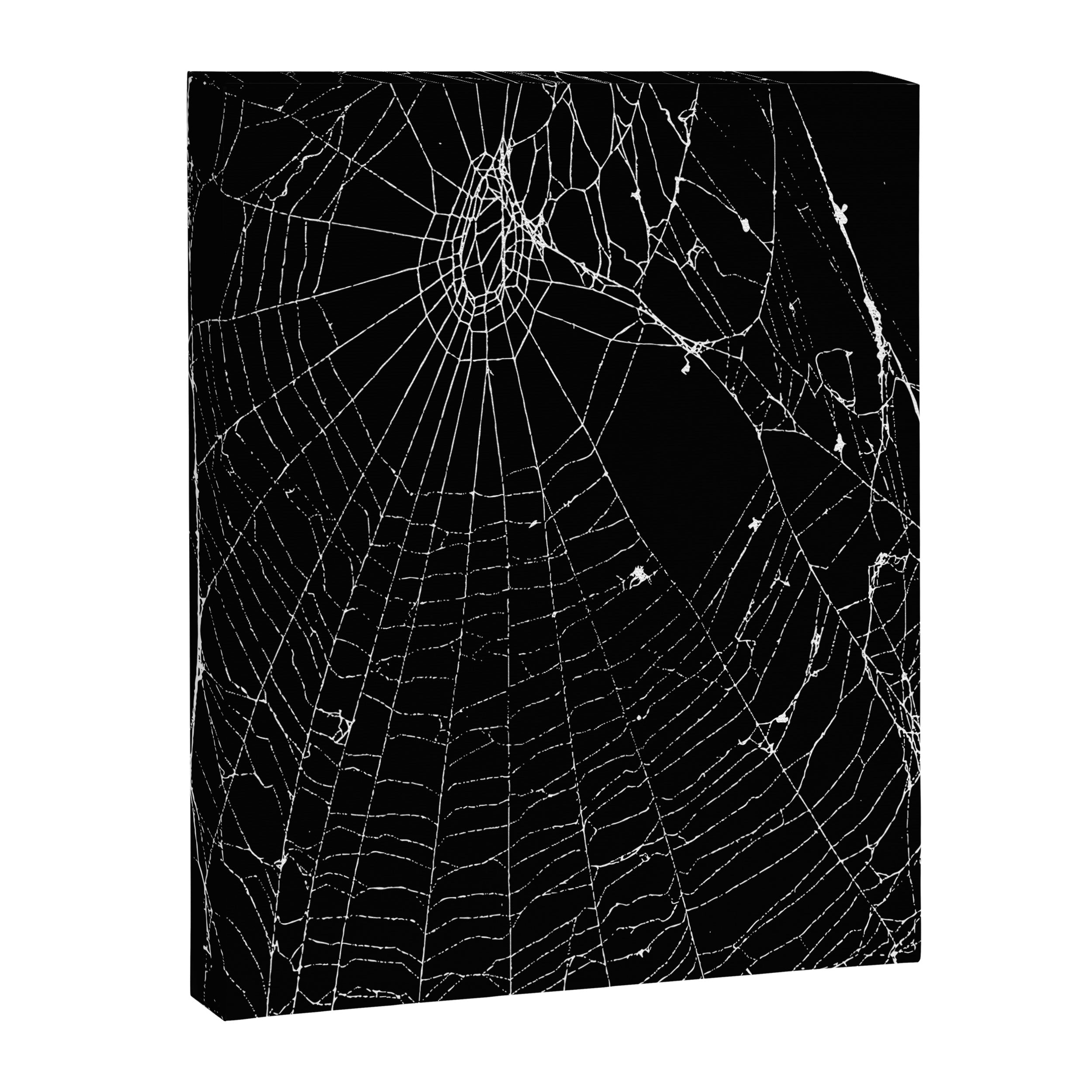 Spider Web Canvas Print Gallery Image 8