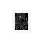 Spider Web Art Print Gallery Image 1