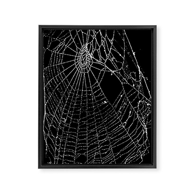 Spider Web Framed Canvas Print Gallery Image 8