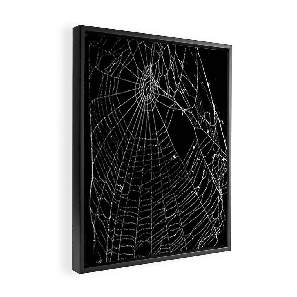 Spider Web Framed Canvas Print Gallery Image 2