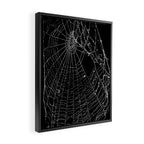 Spider Web Framed Canvas Print Gallery Image 2