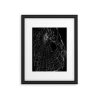Spider Web Framed Art Print Gallery Image 6