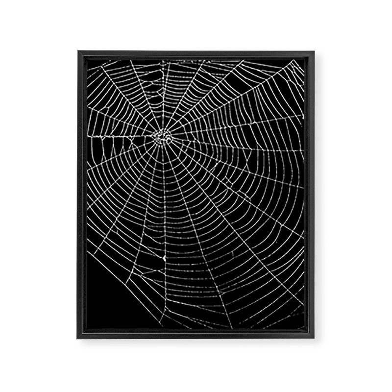 Spiders Web Framed Canvas Print Gallery Image 8