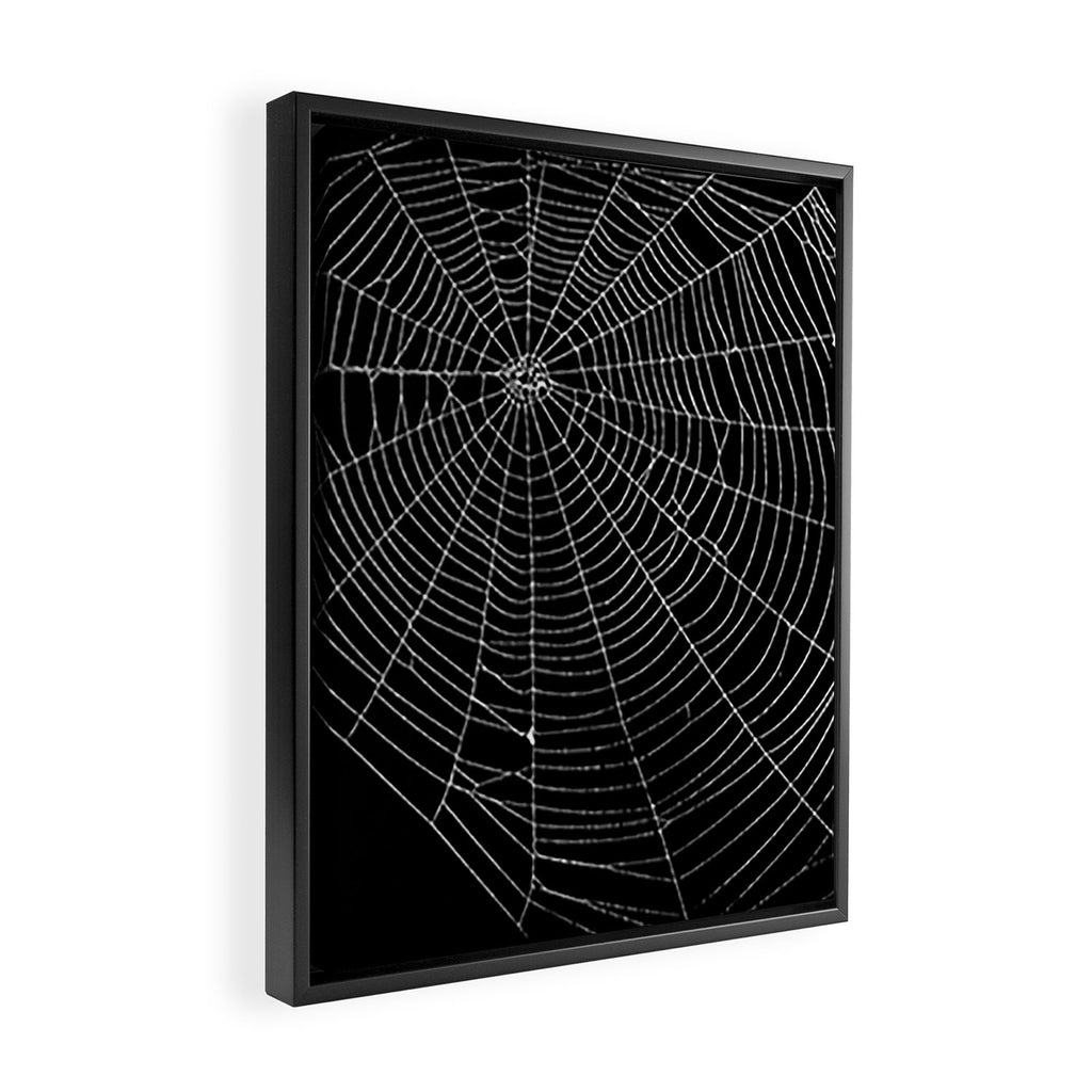 Spiders Web Framed Canvas Print Gallery Image 2