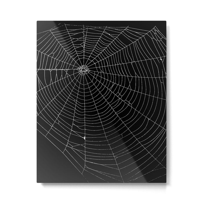 Spiders Web Metal Print Gallery Image 1