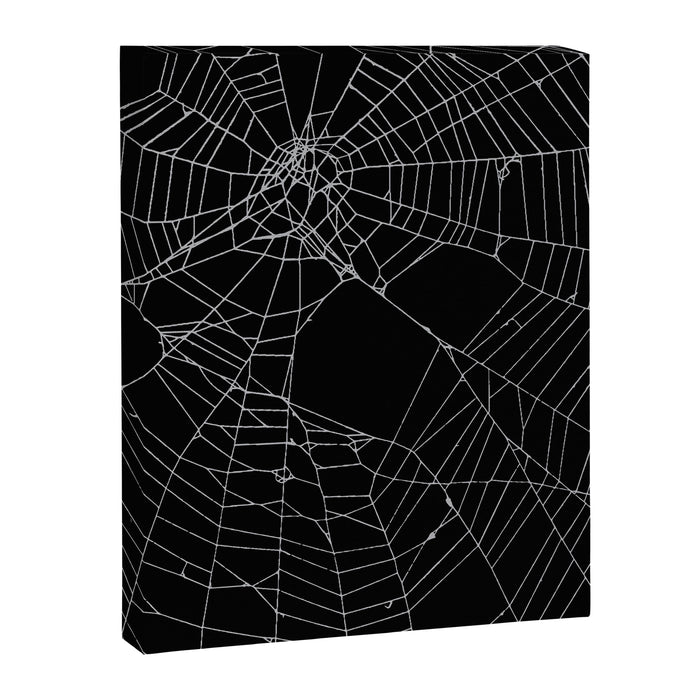 SpiderWeb Web Canvas Print Gallery Image 1