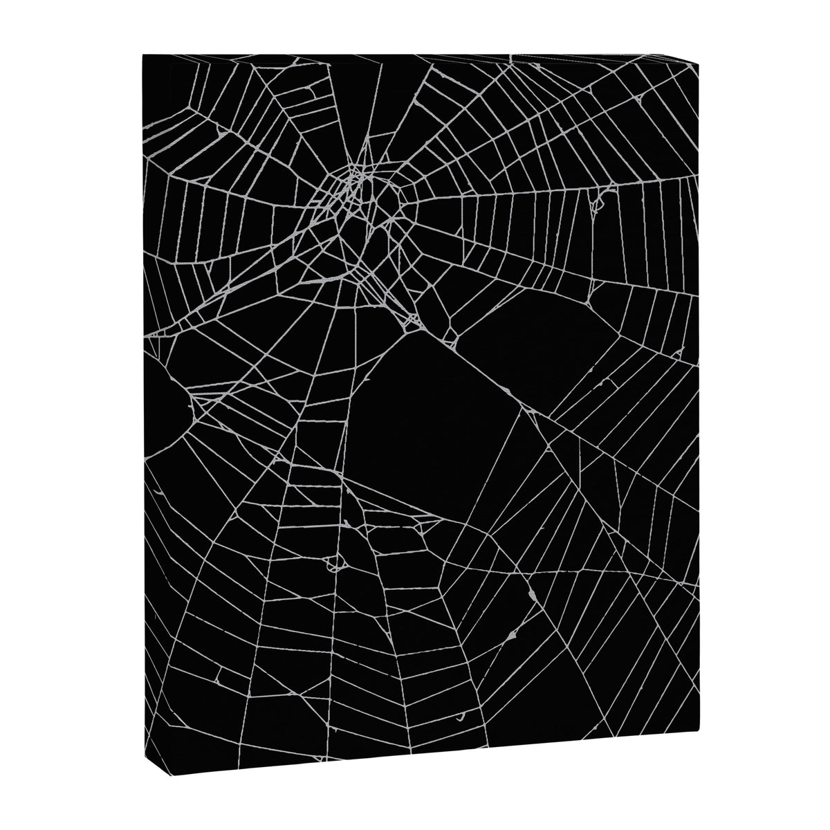 SpiderWeb Web Canvas Print Gallery Image 8