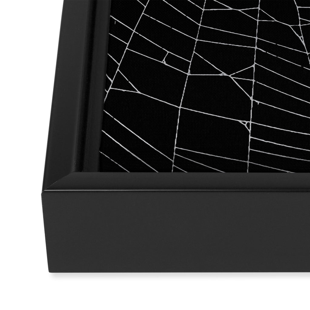 SpiderWeb Web Framed Canvas Print Gallery Image 3