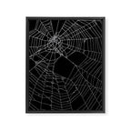 SpiderWeb Web Framed Canvas Print Gallery Image 8