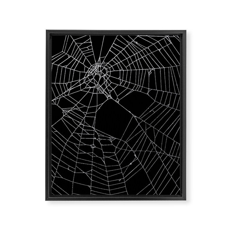 SpiderWeb Web Framed Canvas Print Gallery Image 8